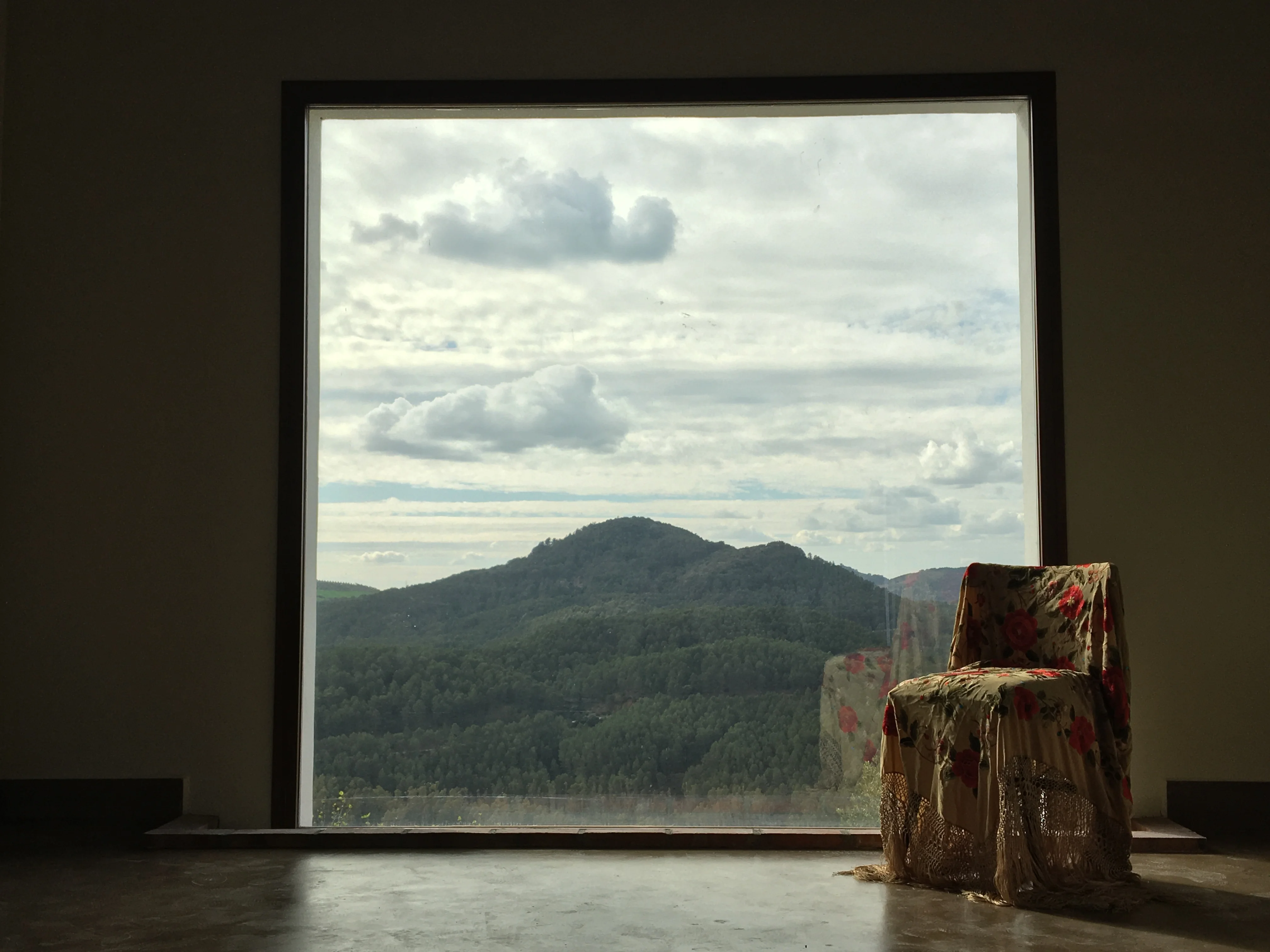 2022 Feb Molino Nuevo-13.jpg